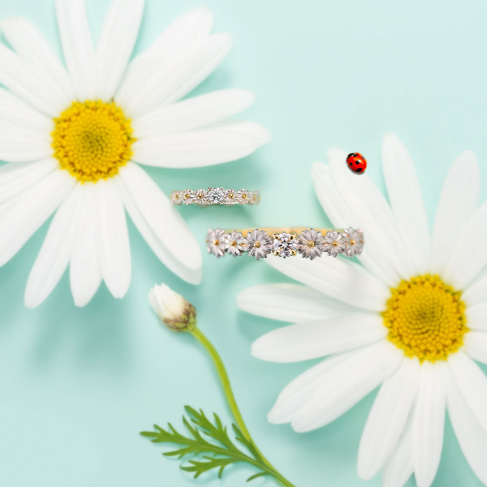 START OFFICIAL ONLINE STORE - BELLE BLANCHE