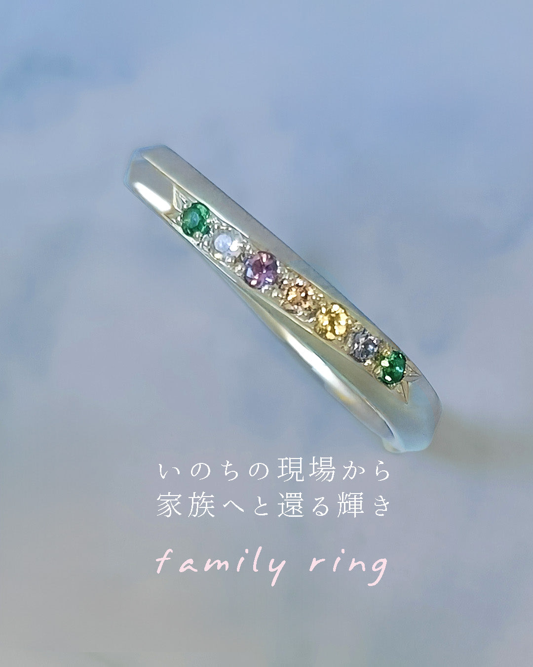 命の現場を越えて、やすらぎへと還る輝き