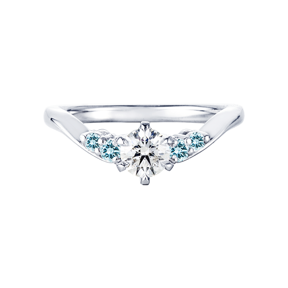 Passerelle Debilly / ドゥビリ橋【BEG/R135】