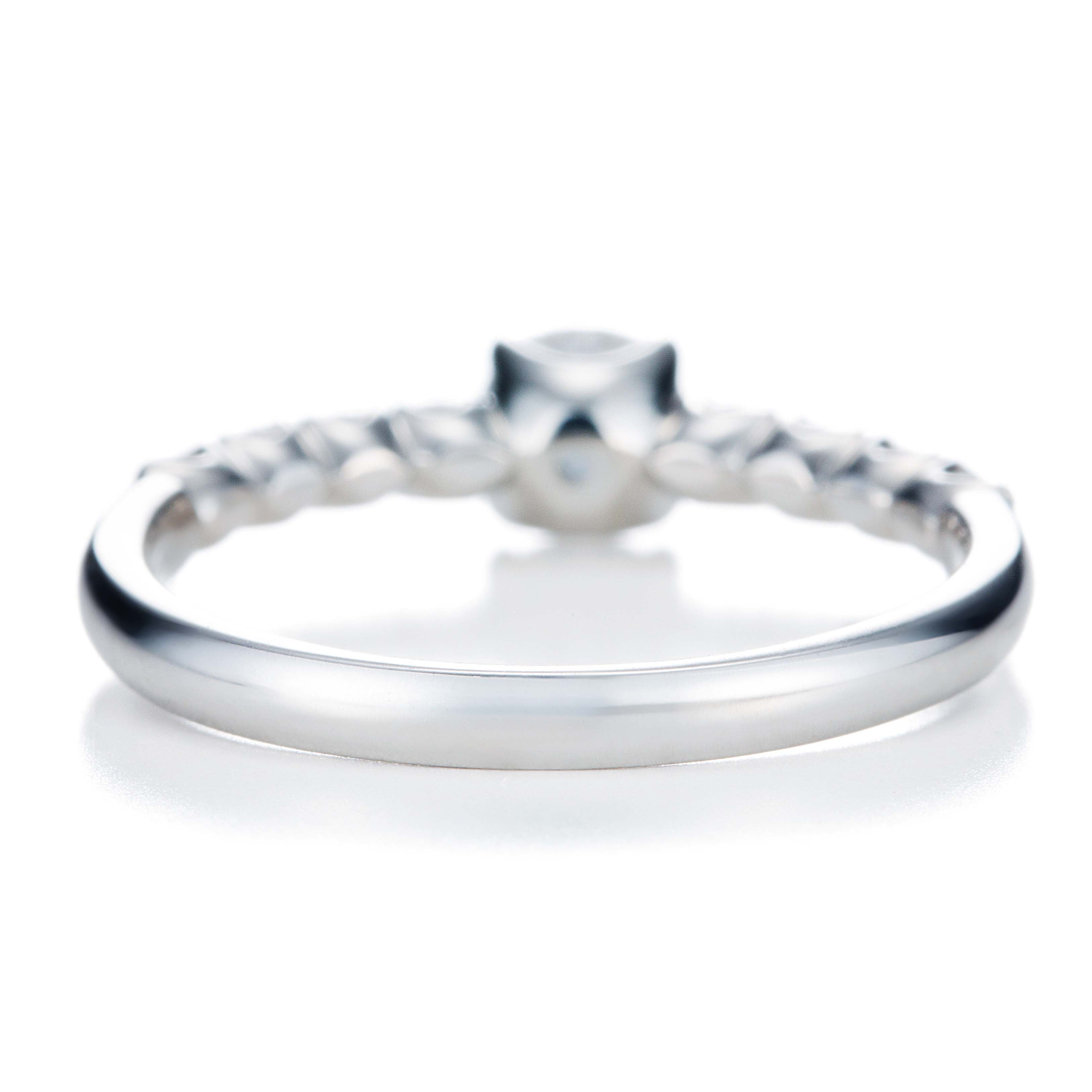 avenue des Champs-Elysees / シャンゼリゼ通り【BEGR82W】