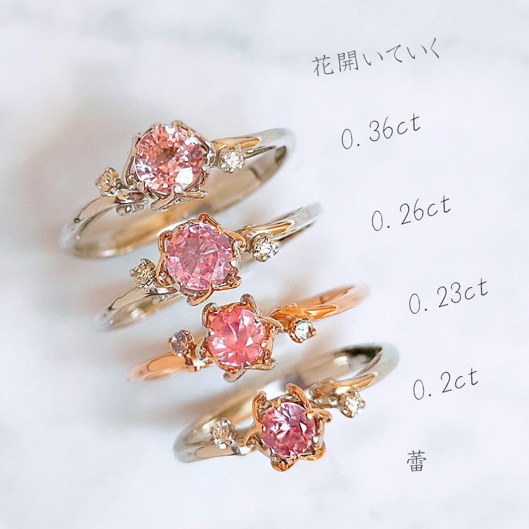 Lotus corde Ring Padparadscha Sapphire/ ロータス コルデ リング パパラチアサファイヤ