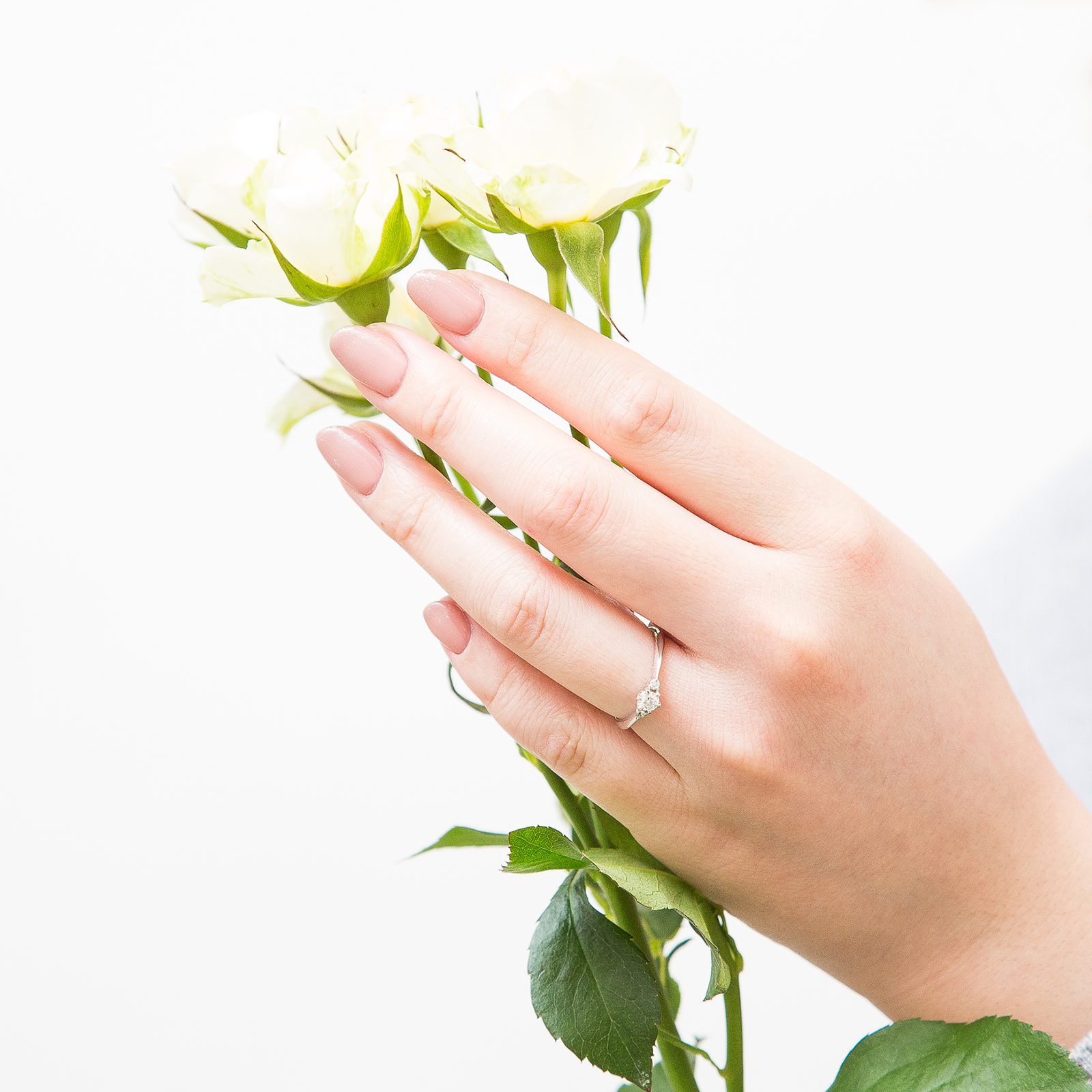 Avenue d’Iena / イエナ通り【BEG/R74】