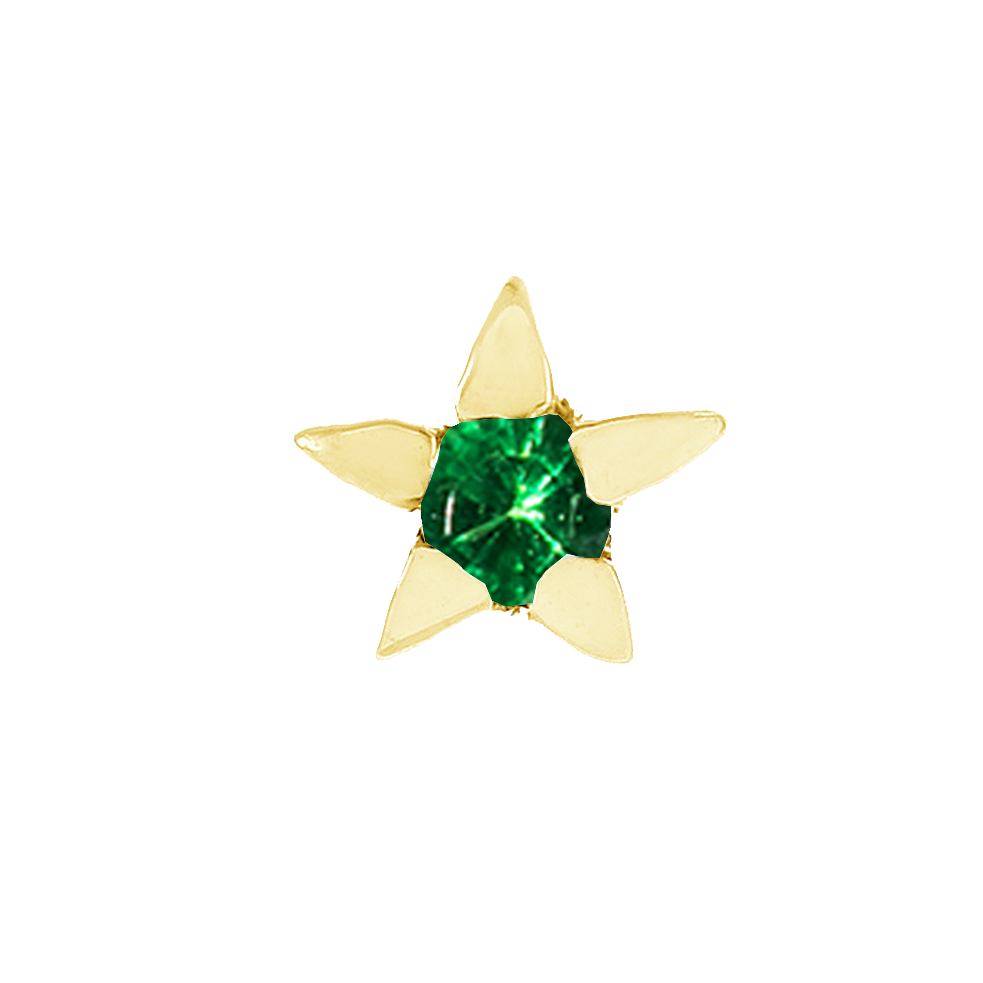 Star / スター ピアス【SMI/PE04】